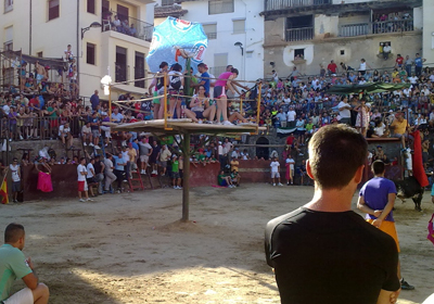 Fiestas populares con vaquillas en la plaza de toros improvisada en Aldeanueva de la Vera. Caceres.